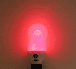 Bulb